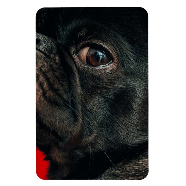 Íman cão rojo (Vertical)