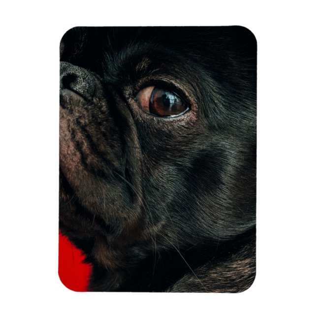 Íman cão rojo (Vertical)