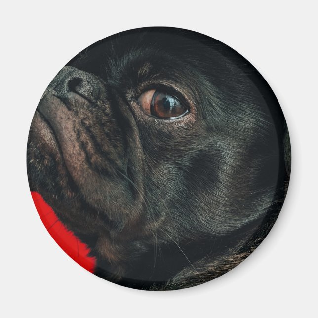 Íman cão rojo (Frente)