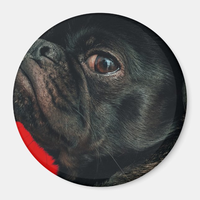 Íman cão rojo (Frente)