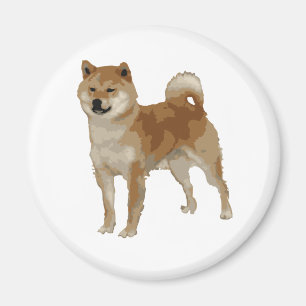 Íman Cão Shiba Inu