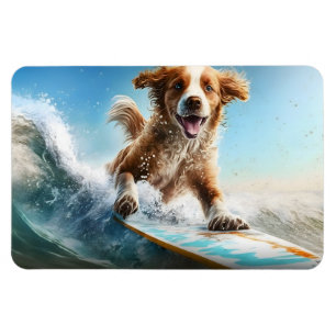 Íman Cão surfador