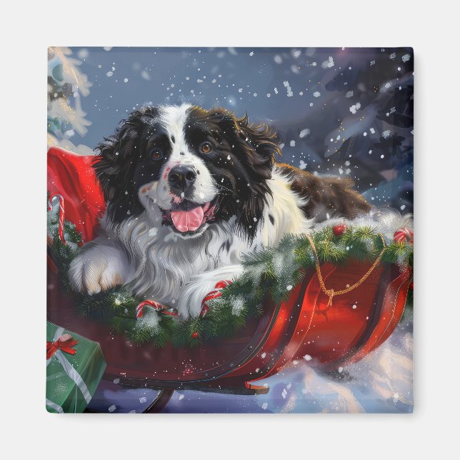 Íman Cão Terra Nova Natal Festivo (Frente)
