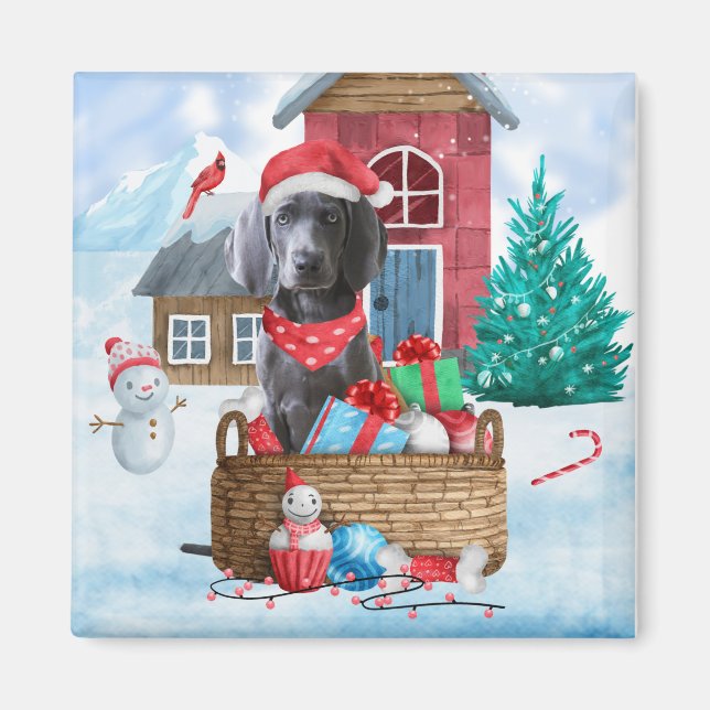 Íman Cão Weimaraner na Casa de Natal na Neve (Frente)