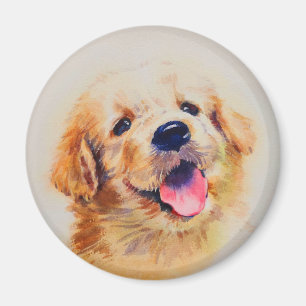 Íman Cãozinho bonito. O nome dele é "feliz"