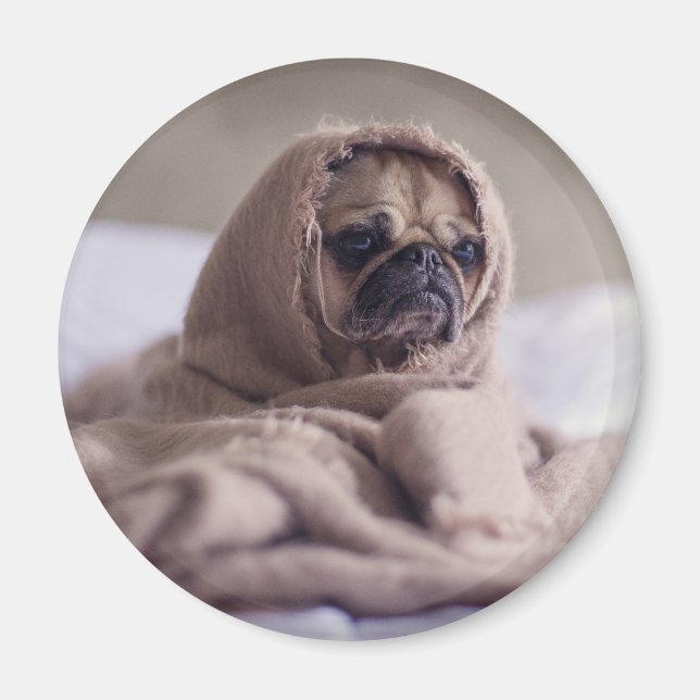 Íman Cãozinho engraçado (Frente)