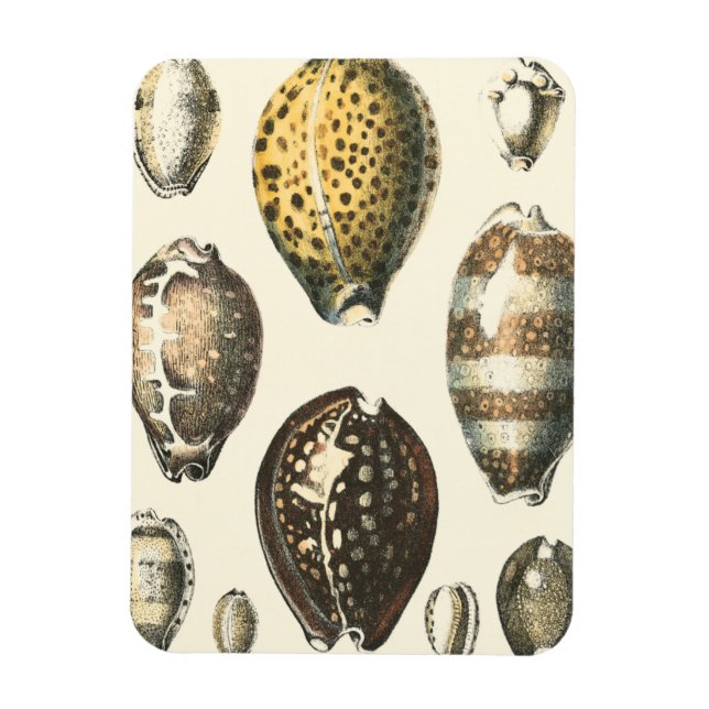 Íman Capas de Costura Uniformes (Vertical)