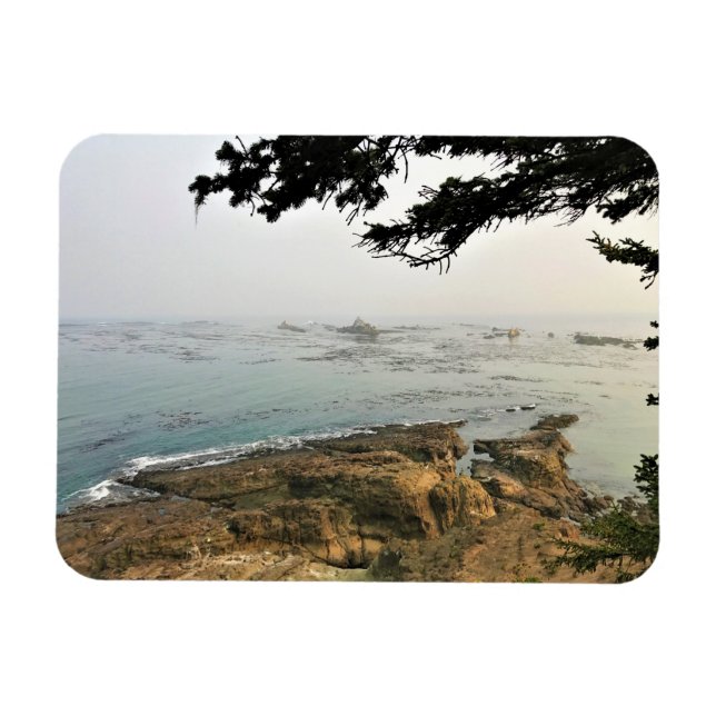 Íman Cape Arago State Park, Costa do Oregon (Horizontal)