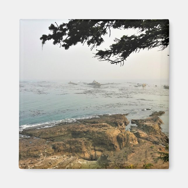 Íman Cape Arago State Park, Costa do Oregon (Frente)