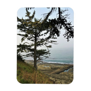 Íman Cape Arago State Park, Costa do Oregon