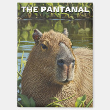 Capivara no Pantanal