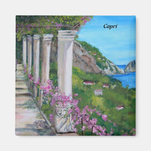 Íman Capri, Italia - ímã