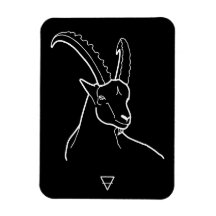 Capricorn