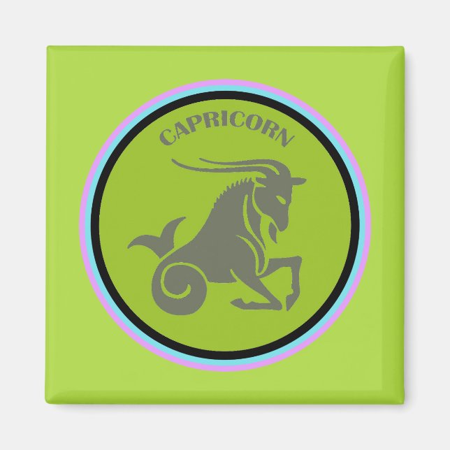 Íman Capricórnio Magnet (Frente)