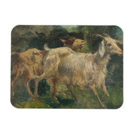 Íman Caprinos (por Vincenzo Caprile)