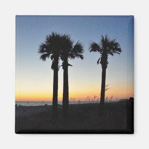 Íman Captiva Island Palm Trees em Sunset Florida Magnet