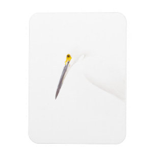 Íman Captura de cabeça Egret