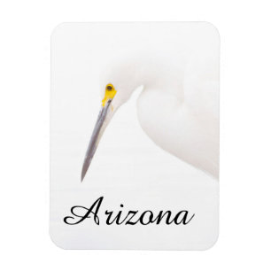 Íman Captura de cabeça Egret, Arizona