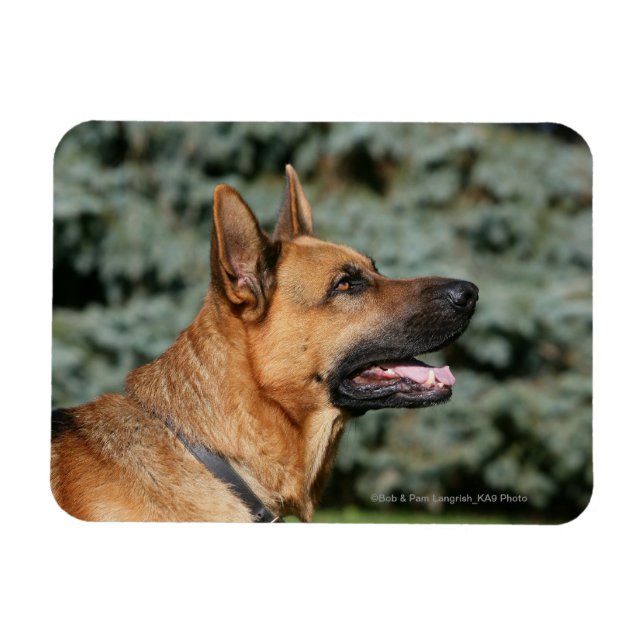 Íman Captura de german shepherd 1 (Horizontal)