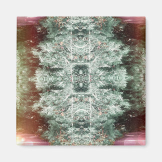 Íman 'Capturar' Magnet