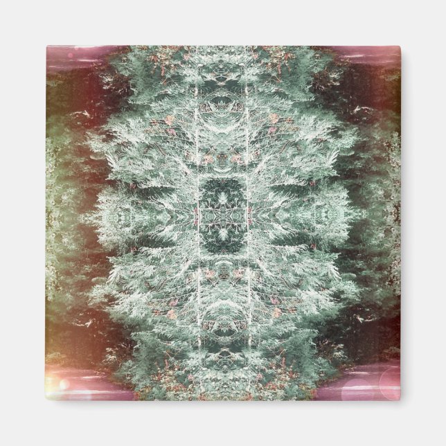 Íman 'Capturar' Magnet (Frente)