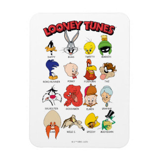 Íman Capturas de cabeça do LOONEY TUNES™