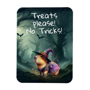 Íman Capybara do Halloween, Cute e Witchy