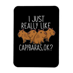 Íman Capybara Gift Kids Women Cute Capybara