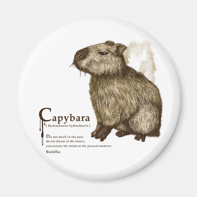 Íman capybara - sepia (Frente)