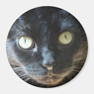 Íman Cara do gato preto