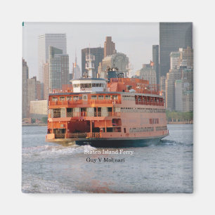 Íman Cara V. Magneto Molinari