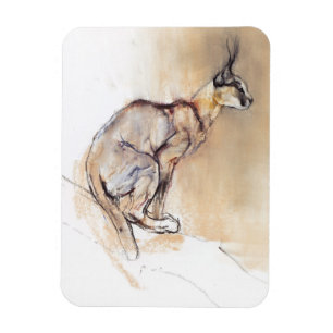 Íman Caracal assentado 2009