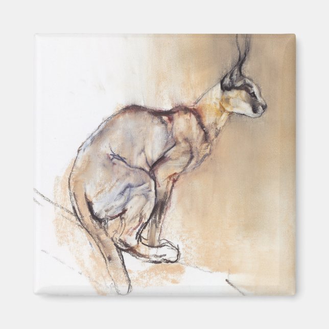 Íman Caracal sentado 2009 (Frente)