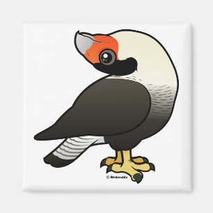 Íman Caracara Display