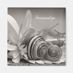 Íman Caracóis De Jardim Na Flor De Margarida Com Nome