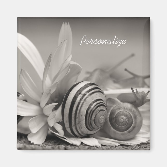 Íman Caracóis De Jardim Na Flor De Margarida Com Nome (Frente)