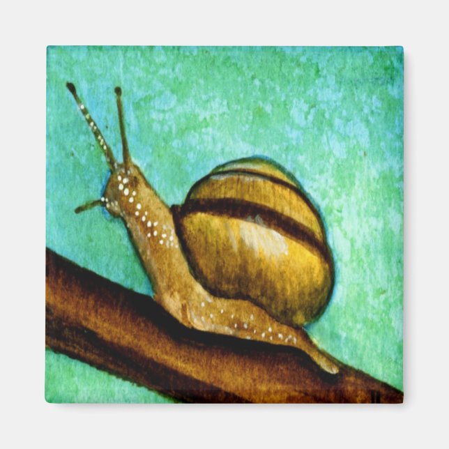 Íman Caracol 1 (Frente)
