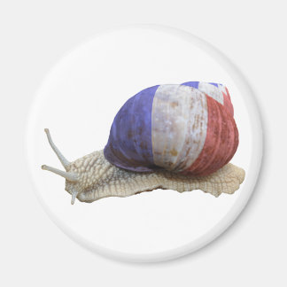 Íman Caracol-de-bandeira francês