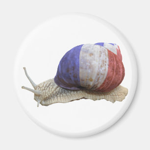Íman Caracol francês da bandeira