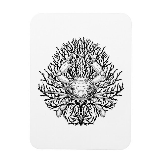 Íman Caranguejo (Vertical)