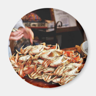 Íman Caranguejo de Dungeness no cais de Fishermans em