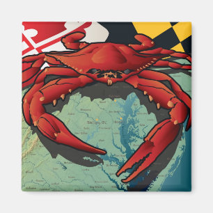 Íman Caranguejo do cidadão de Maryland