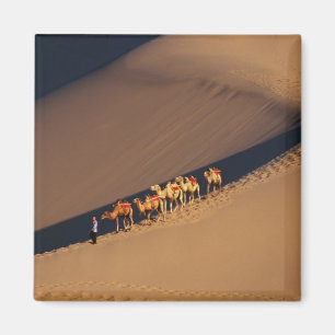 Íman Caravana de camelos no deserto, Dunhuang, Gansu