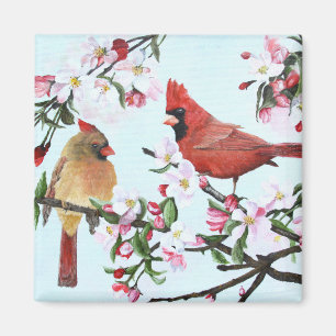 Íman Cardeais e flores de Apple
