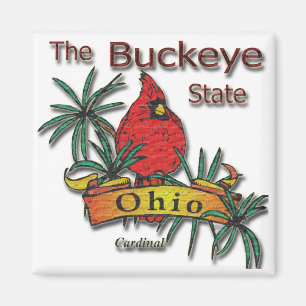 Íman Cardeal do Buckeye de Ohio