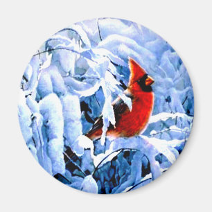 Íman Cardeal Vermelho Na Neve De Inverno