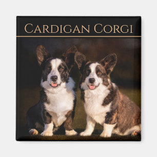 Íman Cardigan Welsh Corgi