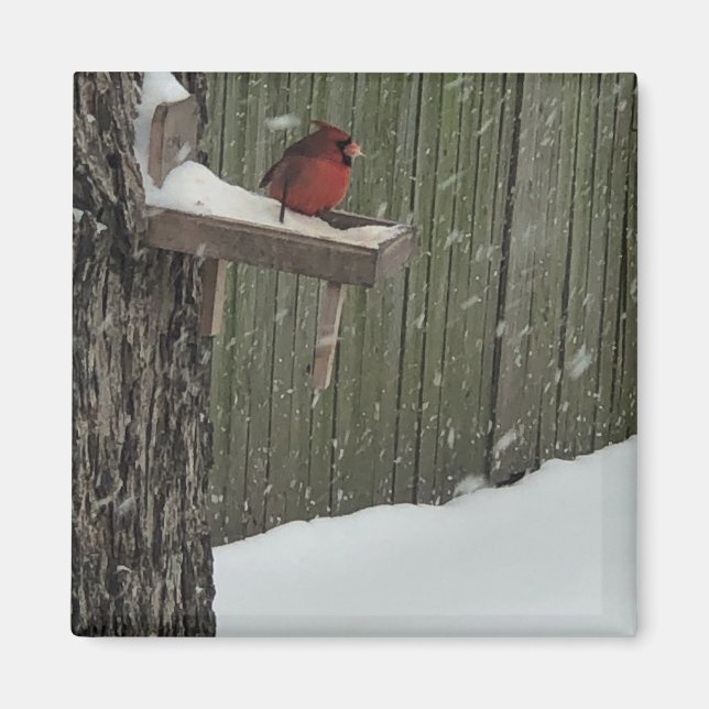 Íman Cardinal  (Frente)