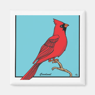 ÍMAN CARDINAL