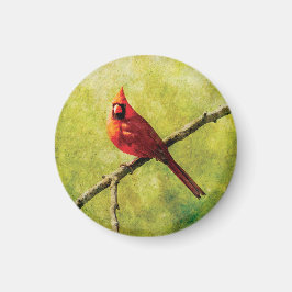 Íman Cardinal Bird Art Magnet | Nature Collector Gift